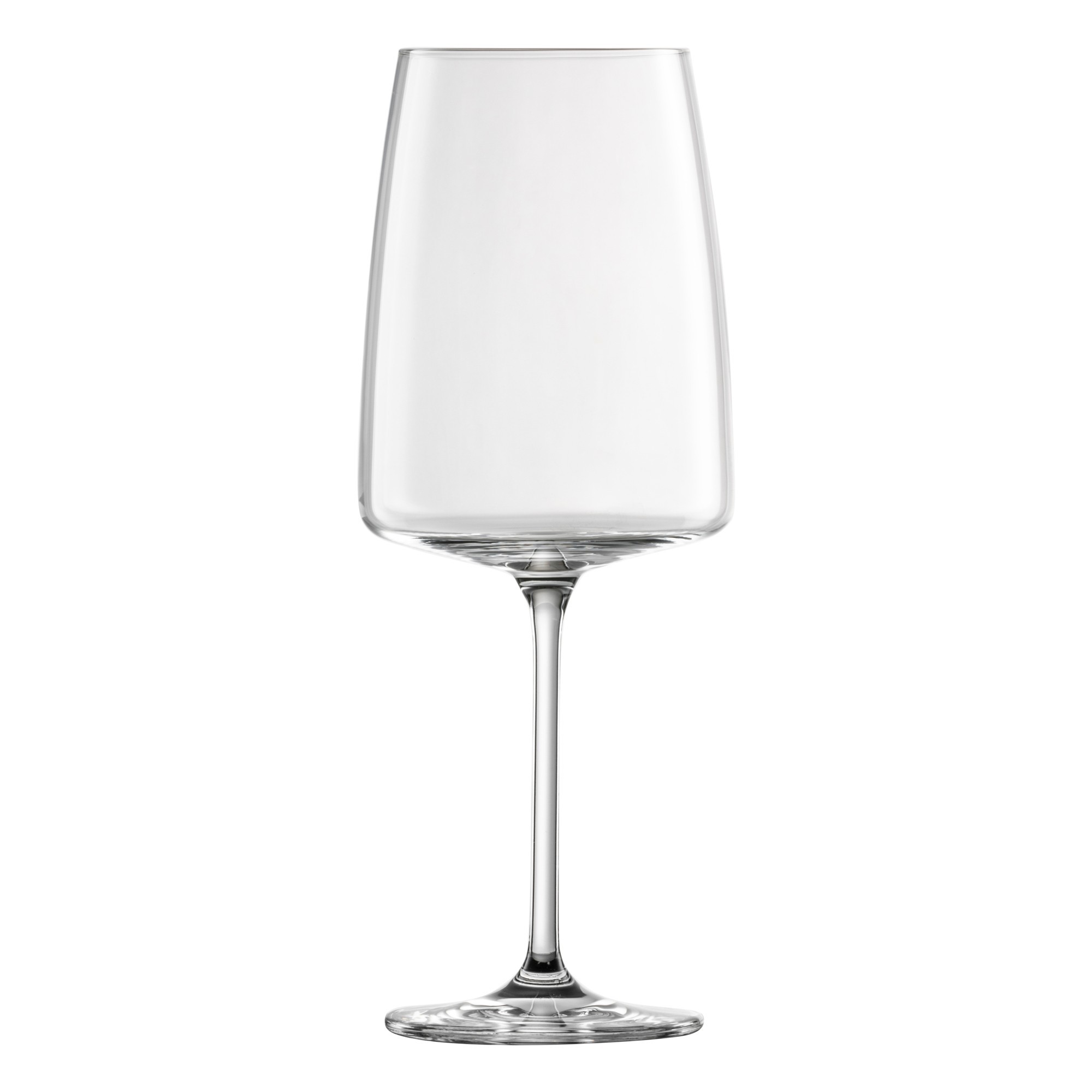 Schott Zwiesel Vina Red & White Wine Glass / Water Goblet (Set of 6)