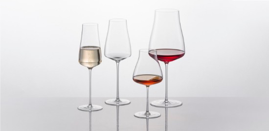 Conjunto de taças de champanhe de 6 peças, vidro cristalino, 312ml, "The Moment" - Schott Zwiesel