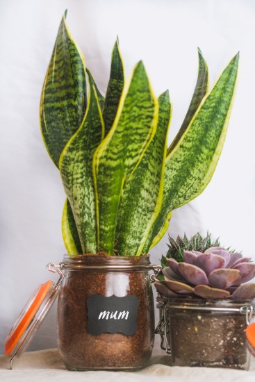 Jar made from glass, 750 ml - made by Kitchen Craft