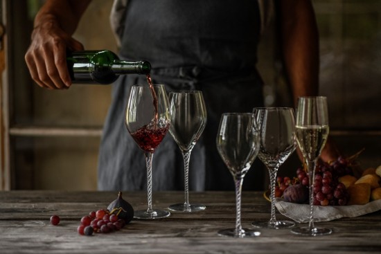 Lot de 2 verres à vin de Bourgogne, en verre cristallin, 646 ml, "SPIRIT" - Schott Zwiesel