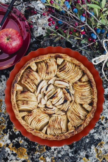 Plat à tarte, céramique, 24,5 cm/1,15 l, Burgundy - Emile Henry