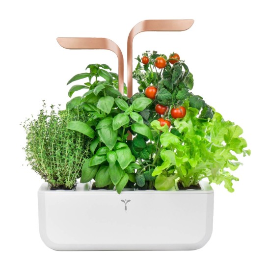 Садилица, 33 × 18,5 × 45 цм, "SMART Garden", White-Cooper - Veritable