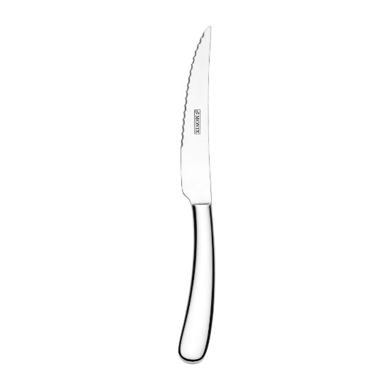 Professional steak knife, stainless steel, 23 cm - Monix