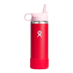 Water bottle for children, stainless steel, 530ml, "Wide Straw", Goji - Hydro Flask
