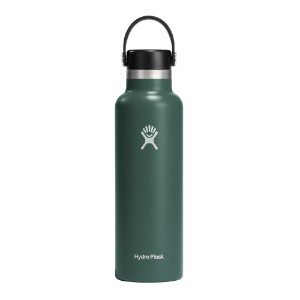 Thermal-insulating bottle, stainless steel, 620ml, "Standard", Fir - Hydro Flask