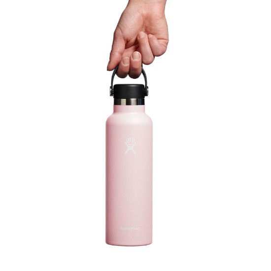 Бутылка термоизоляционная, нержавеющая сталь, 620мл, "Standard", Trillium - Hydro Flask
