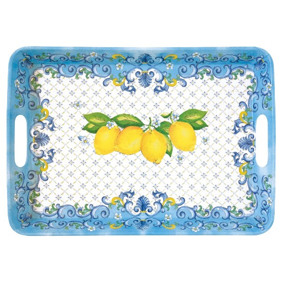 Rectangular tray with handles, 47 × 33.5 cm, "Sorrento" - Nuova R2S