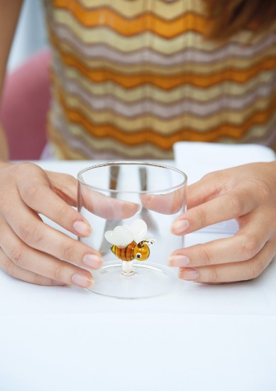 İç dekorasyonlu içecek bardağı, borosilikat cam, 250 ml, arı - WD Lifestyle