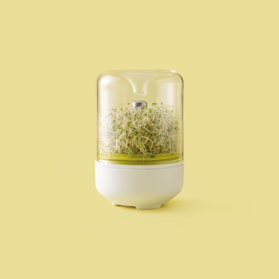 Container for seed germination, made from glass - Chef'n