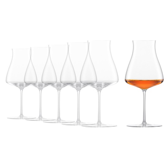6 parçalı viski bardağı seti, kristal cam, 292ml, "Classics Select" - Schott Zwiesel