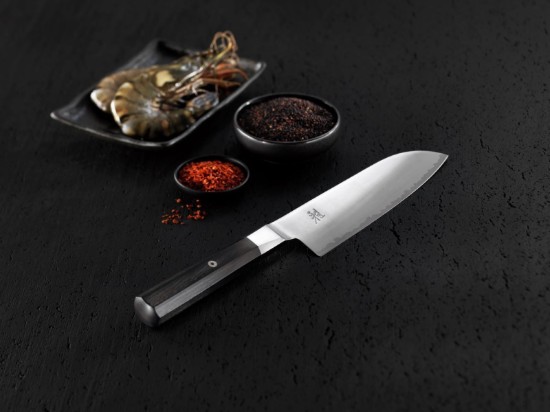 Gyutoh knife, 24 cm, 4000 FC - Miyabi