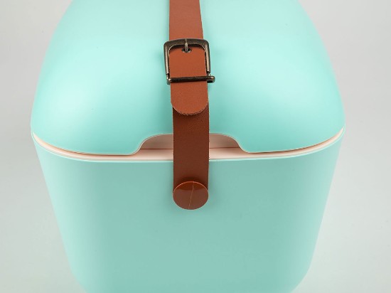 Cool box, 12L, "Classic", Cyan - Baby Rose - Polarbox