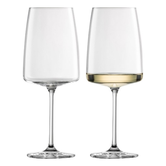 Sett ta 'ħġieġ ta' l-inbid 2-pcs, ħġieġ kristallin, 660 ml, "Vid Senses" - Schott Zwiesel