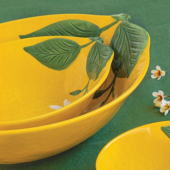 Bowl, porcelain, 22 x 16 cm, "Fleurs et Citrons" - Easy Life