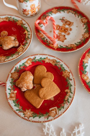 Sæt med 4 desserttallerkener, porcelæn, 19 cm, "Fancy Gingerbread" - Nuova R2S