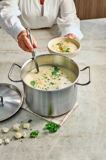 Keedupott kaanega, roostevabast terasest, 24 cm/7,5 L, "Classic Pro 3" - Demeyere