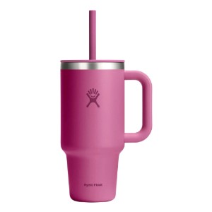 Toplinski izolirana čaša, nehrđajući čelik, 950 ml, "All Around Travel", Reef - Hydro Flask