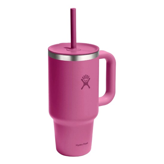 Toplinski izolirana čaša, nehrđajući čelik, 950 ml, "All Around Travel", Reef - Hydro Flask