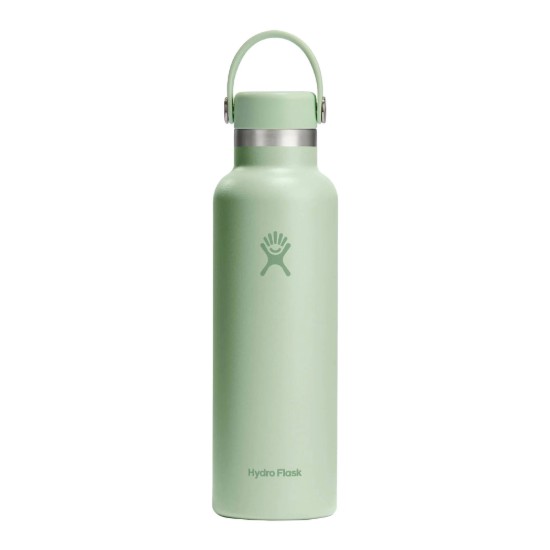 Toplinski izolirana boca, nehrđajući čelik, 620 ml, "Standard", Aloe - Hydro Flask