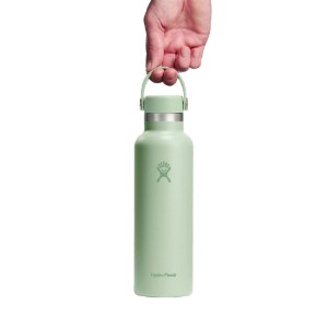 Toplinski izolirana boca, nehrđajući čelik, 620 ml, "Standard", Aloe - Hydro Flask