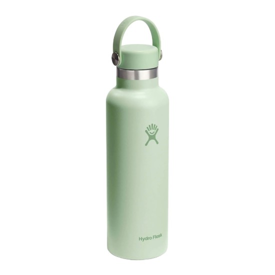 Toplinski izolirana boca, nehrđajući čelik, 620 ml, "Standard", Aloe - Hydro Flask