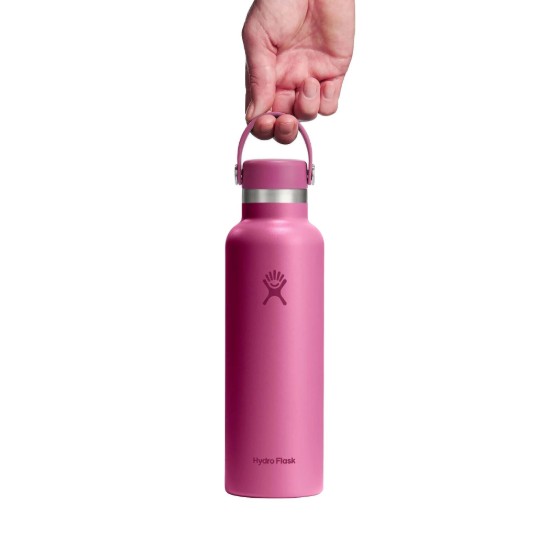 Toplinski izolirana boca, nehrđajući čelik, 620 ml, "Standard", Reef - Hydro Flask
