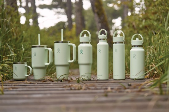 Toplinski izolirana boca, nehrđajući čelik, 620 ml, "Standard", Aloe - Hydro Flask