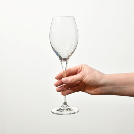 Set of 6 Prosecco glasses, crystalline glass, 300 ml, "Harmony" - Krosno