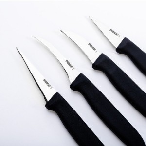 Set di 4 coltelli per decorare, "Gastro", Nero - Pirge