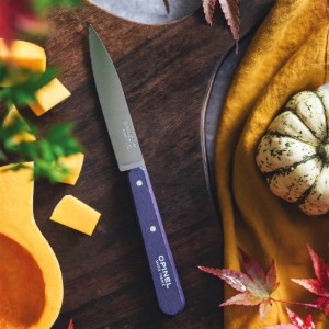 N°112 sikkina għat-tqaxxir, azzar li ma jissaddadx, 10cm, "Les Essentiels", Violet - Opinel
