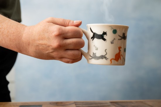 Porcelain mug, 250 ml, Cat - Mikasa