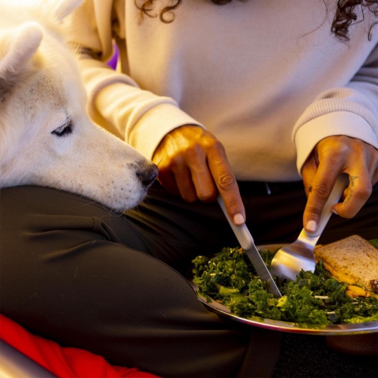 Camping plate, stainless steel, 23.4cm, Birch - Hydro Flask