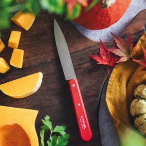 Paring knife N°112, stainless steel, 10 cm, "Les Essentiels", Red - Opinel