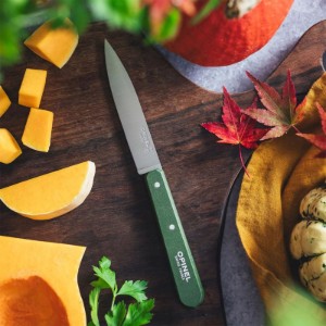 Paring knife N°112, stainless steel, 10 cm, "Les Essentiels", Green - Opinel