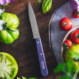 Serrated blade knife N°113, stainless steel, 10 cm, "Les Essentiels", Purple - Opinel
