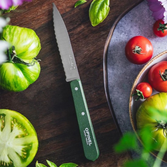 Serrated blade knife N°113, stainless steel, 10 cm, "Les Essentiels", Green - Opinel
