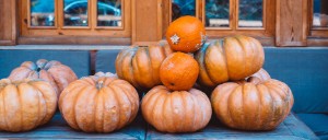 Zucca troppo grande? Ecco come conservarla