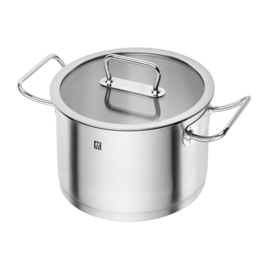 Borma tal-azzar inossidabbli, b'għatu, 24cm/6.2L, "ZWILLING Pro" - Zwilling