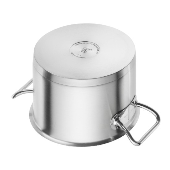 Borma tal-azzar inossidabbli, b'għatu, 24cm/6.2L, "ZWILLING Pro" - Zwilling