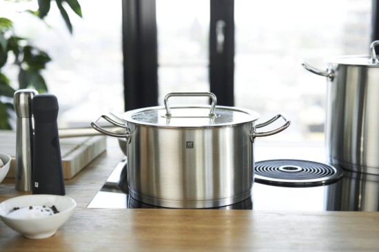 Borma tal-azzar inossidabbli, b'għatu, 24cm/6.2L, "ZWILLING Pro" - Zwilling