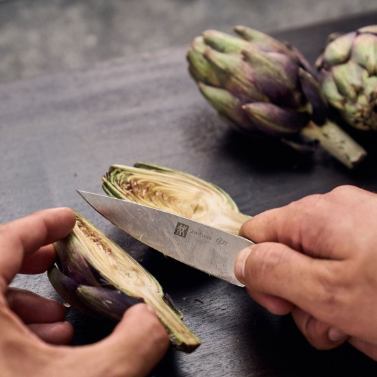 Koorimisnuga, 10 cm, "TWIN 1731", Ziricote - Zwilling