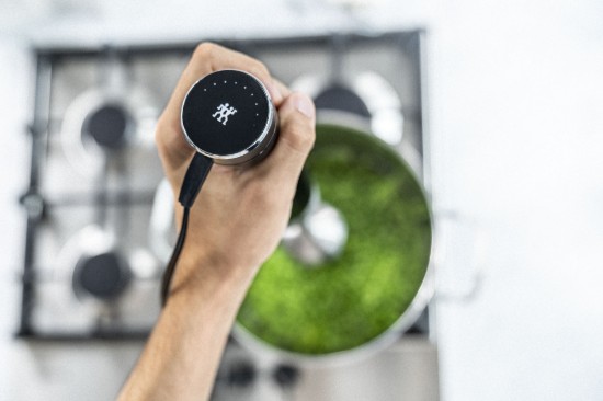 Ραβδομπλέντερ, 800 W, "Enfinigy", Μαύρο - Zwilling