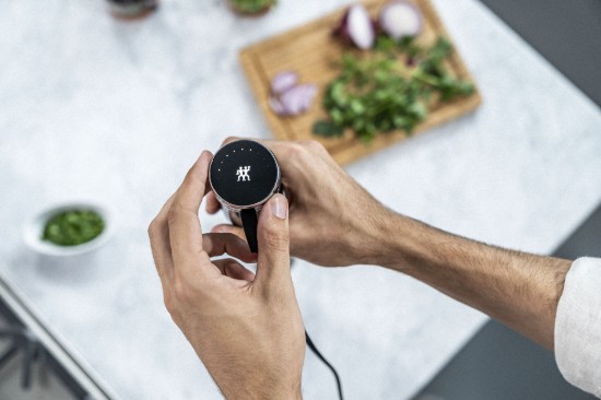 Ραβδομπλέντερ, 800 W, "Enfinigy", Μαύρο - Zwilling