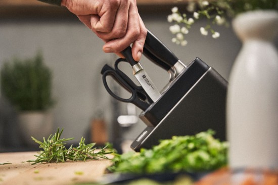 7-osaline noakomplekt sisseehitatud teritusmooduliga, "TWIN Four Star" - Zwilling