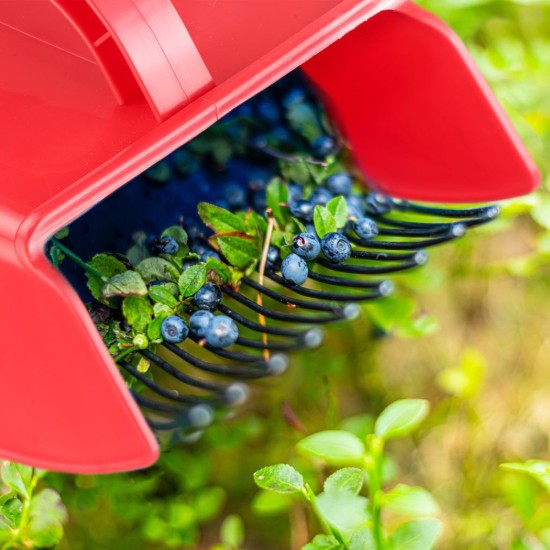 Ferramenta de colheita de frutas vermelhas - Westmark