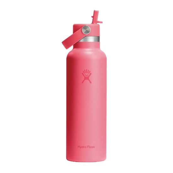 Termoizolovaná fľaša, nehrdzavejúca oceľ, 620 ml, "Standard Slam", Popstar Pink - Hydro Flask