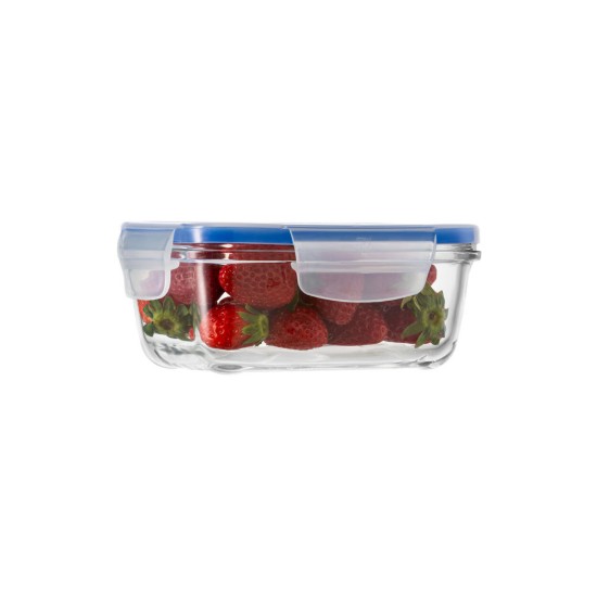 Maisto indas, 800 ml, stiklas - Borgonovo