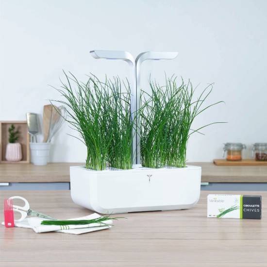Package of chives seeds, "Lingot" - Veritable