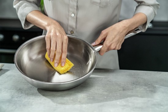 Paslanmaz çelik için temizlik spreyi, 250 ml, "ZWILLING Plus" - Zwilling