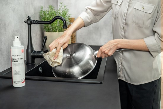 Paslanmaz çelik için temizlik spreyi, 250 ml, "ZWILLING Plus" - Zwilling